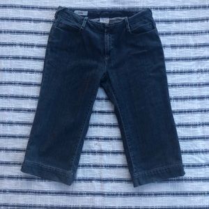 Banana Republic Classic Stretch Crop Jeans Size 10